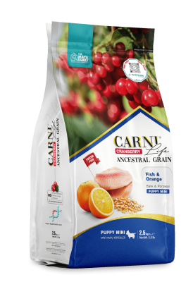 Carni Life Cranberry Ancestral Grain Puppy Mini Balık Etli & Portakallı Yavru Köpek Maması - 1