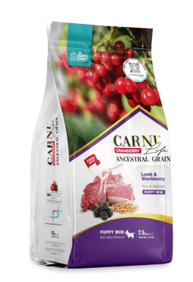 Carni Life Cranberry Ancestral Grain Puppy Mini Kuzu Etli & Böğürtlenli Yavru Köpek Maması - 1