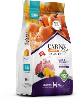 Carni Life Pumpkin Tahılsız Kuzu Etli & Böğürtlenli Adult Mini Yetişkin Köpek Maması - 1